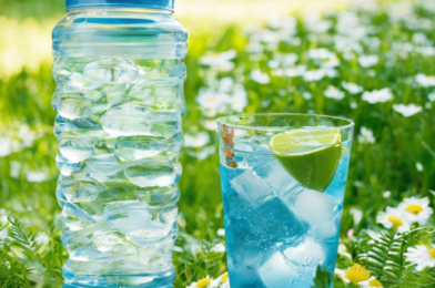 How to Stay Hydrated: The Importance of Drinking Water